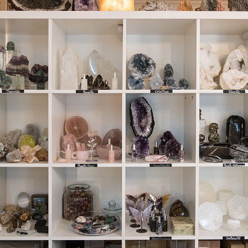 L'atelier Papillons Lausanne
